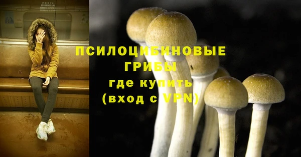 каннабис Гусев