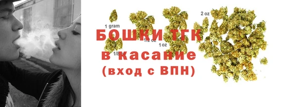 мдпв Гусь-Хрустальный