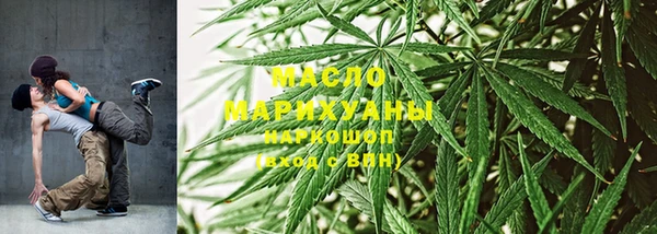 мдпв Гусь-Хрустальный