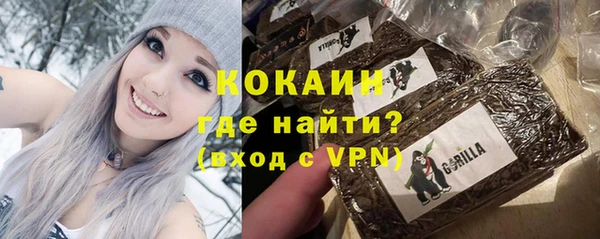 мдпв Гусь-Хрустальный