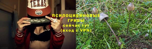 синтетический гашиш Гусиноозёрск