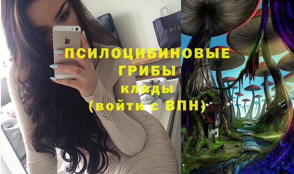 синтетический гашиш Гусиноозёрск