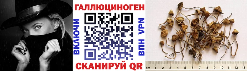 Галлюциногенные грибы Cubensis  площадка телеграм  Дудинка 